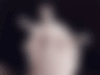 Avatar de Usuario